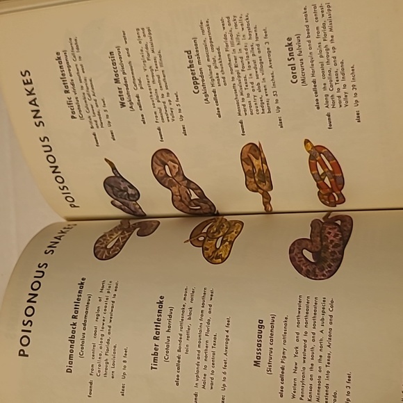 Vintage First Aid Book Fourth Edition - Picture 10 of 11